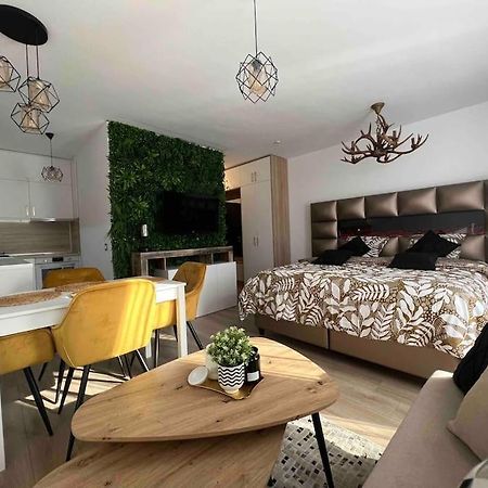 Cosy Appartement Green Life Μπάνσκο Εξωτερικό φωτογραφία
