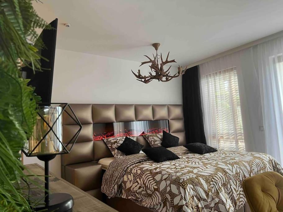 Cosy Appartement Green Life Μπάνσκο Εξωτερικό φωτογραφία